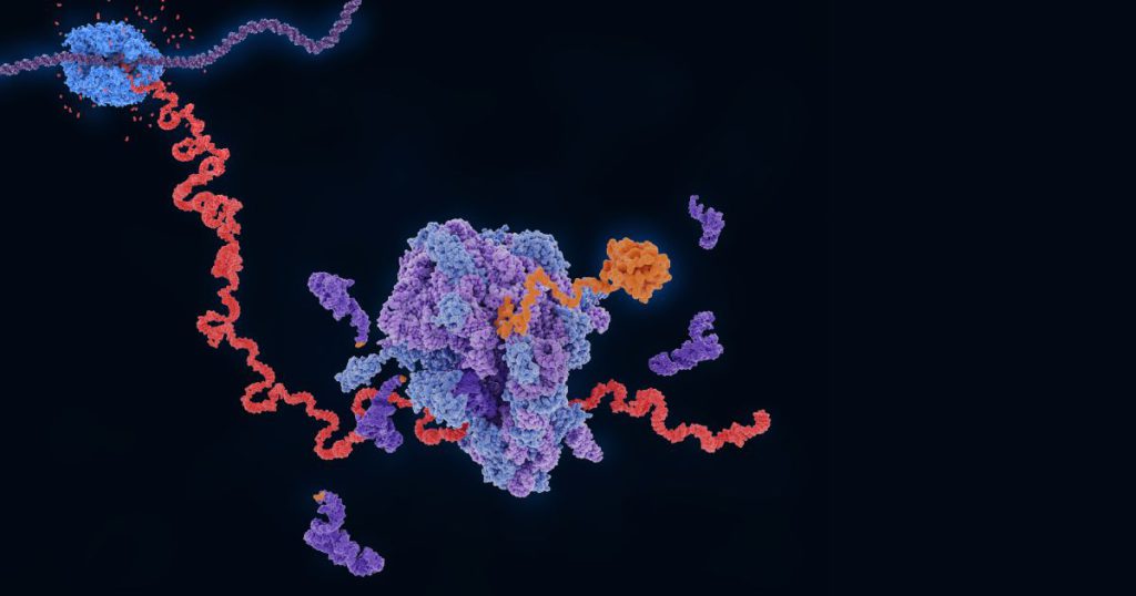 錄音檔轉逐字稿
